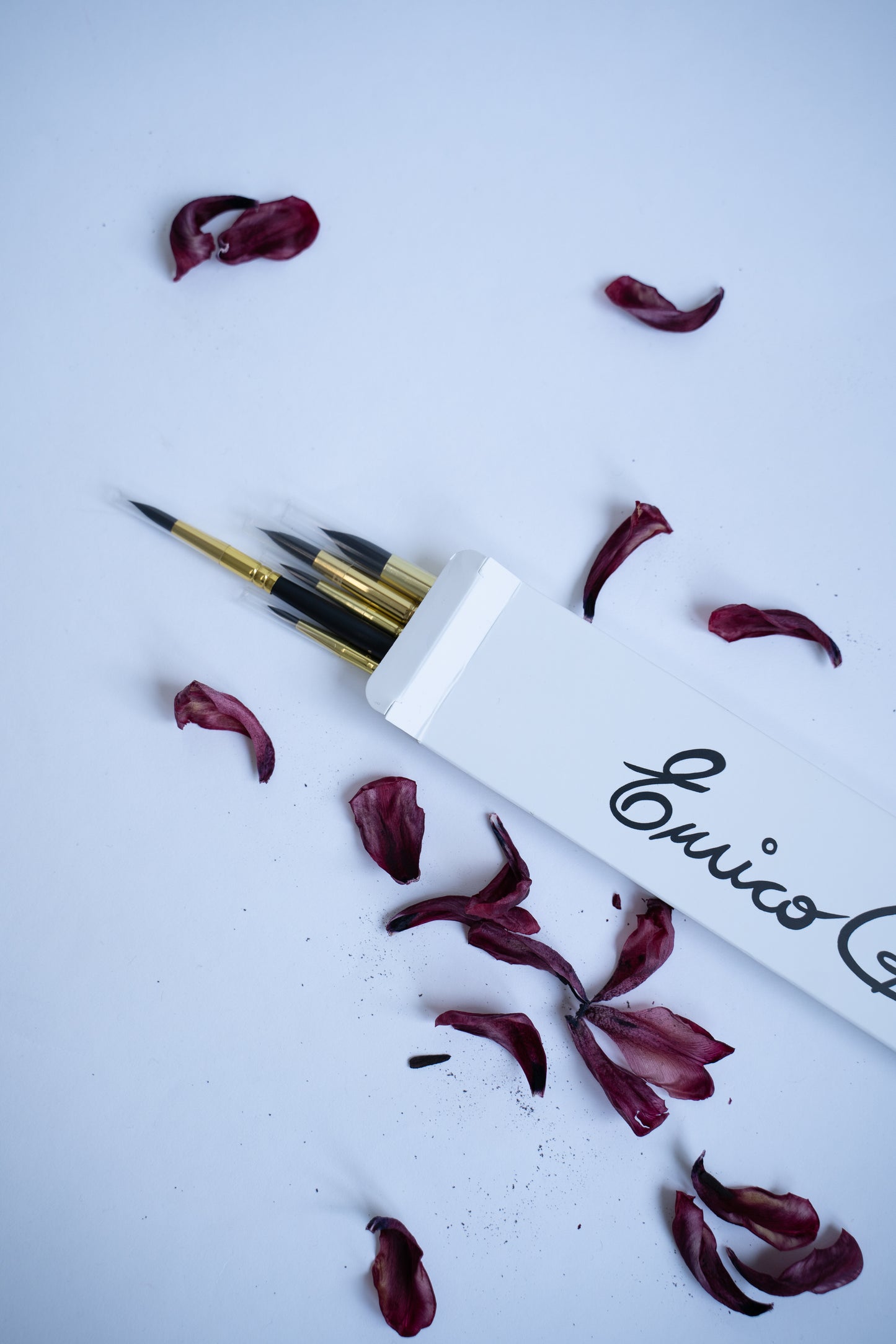 Enrico CALUSSi Pinselset